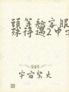 头等舱客服的特殊待遇2中字