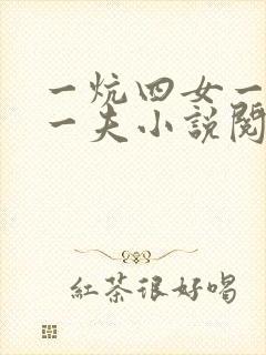 一炕四女一共侍一夫小说阅读