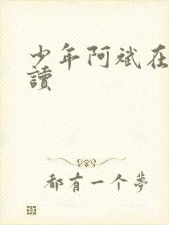 少年阿斌在线阅读