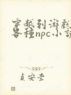 穿越到游戏里和各种npc小说