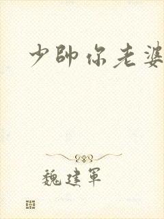 少帅你老婆