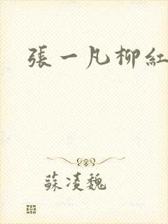 张一凡柳红