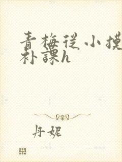 青梅从小摸到大补课h