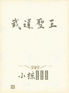 武道圣王