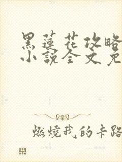 黑莲花攻略手册小说全文免费阅读笔趣阁