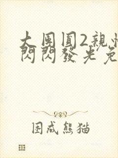 大团圆2亲情会闪闪发光免费