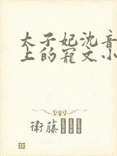 太子妃沈音和皇上的宠文小说