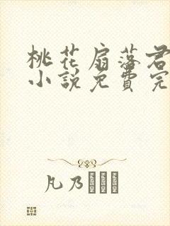 桃花扇落君不还小说免费完整版