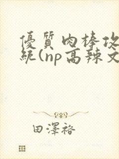 优质肉棒攻略系统(np高辣文)