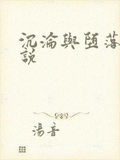 沉沦与堕落的小说