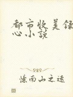 都市收美录宁素心小说