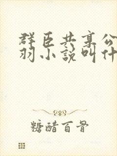 群臣共享公主银羽小说叫什么