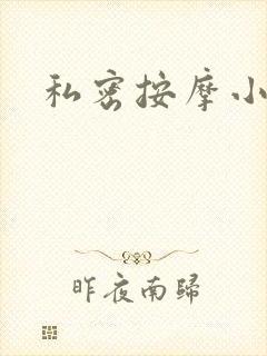 私密按摩小说