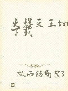 火爆天王txt下载
