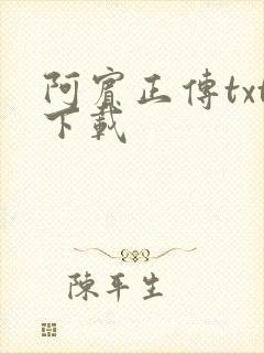 阿宾正传txt下载