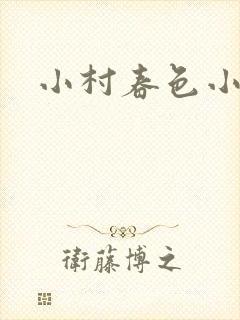 小村春色小说