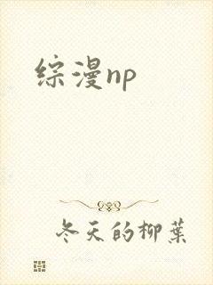 综漫np