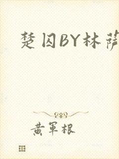 楚囚BY林萨