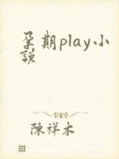 孕期play小说