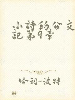 小诗的公交车日记第9章