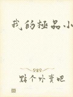 我的极品小姨