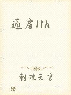 通房11h