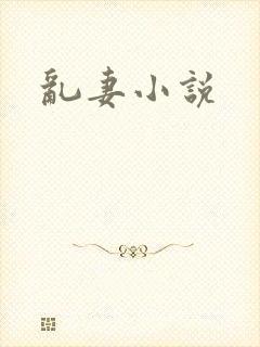 乱妻小说