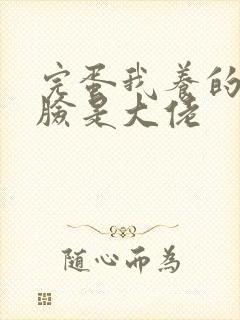 完蛋我养的小白脸是大佬