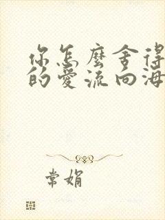 你怎么舍得让我的爱流向海