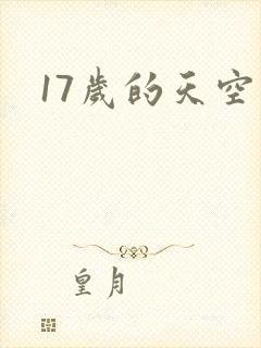 17岁的天空