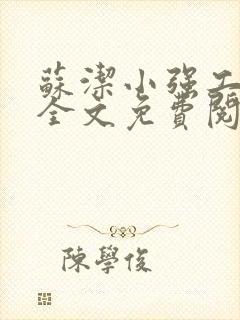 苏洁小强工地情全文免费阅读