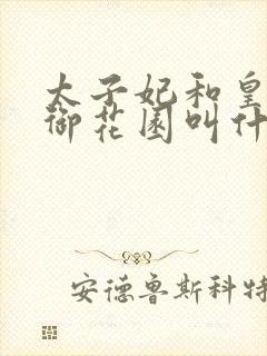 太子妃和皇帝在御花园叫什么小说