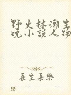 野火林潮生林晚晚小说人物野火