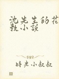 沈先生的花式调教小说