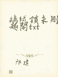鹅绒锁未删除笔趣阁txt