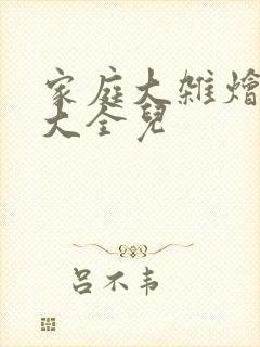 家庭大杂烩小说大全儿