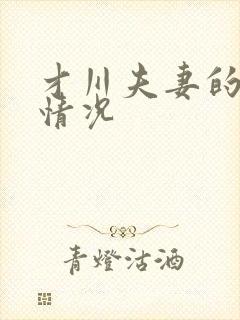 才川夫妻的恋爱情况