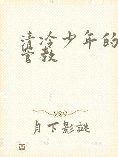 清冷少年的严厉管教