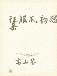 征服风韵犹存的岳