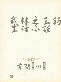 武林之王的退隐生活小说