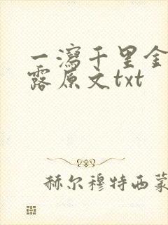 一泻千里金银花露原文txt