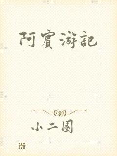 阿宾游记