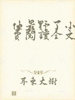 他最野了小说免费阅读全文