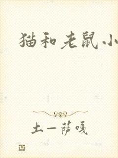 猫和老鼠小说