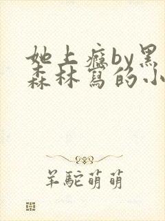 她上瘾by黑暗森林写的小说免费阅读无弹窗