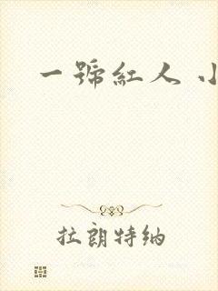 一号红人 小说