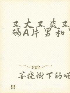 又大又爽又黄无码A片男和男