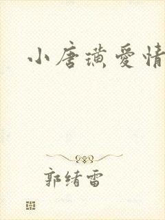 小唐璜爱情历史