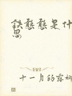 铁憨憨是什么意思