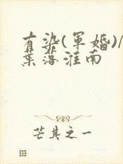 有染(军婚)/叶落淮南